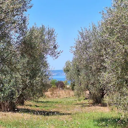 Terre Di Cornossa Nyaraló *